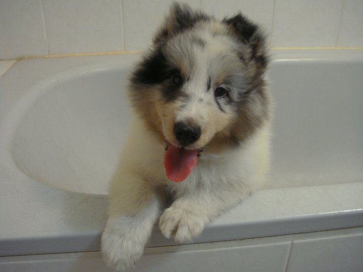 20110814.jpg