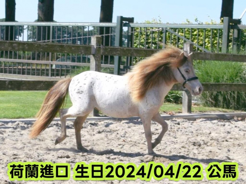 MEITU_20251018_160542701.jpg