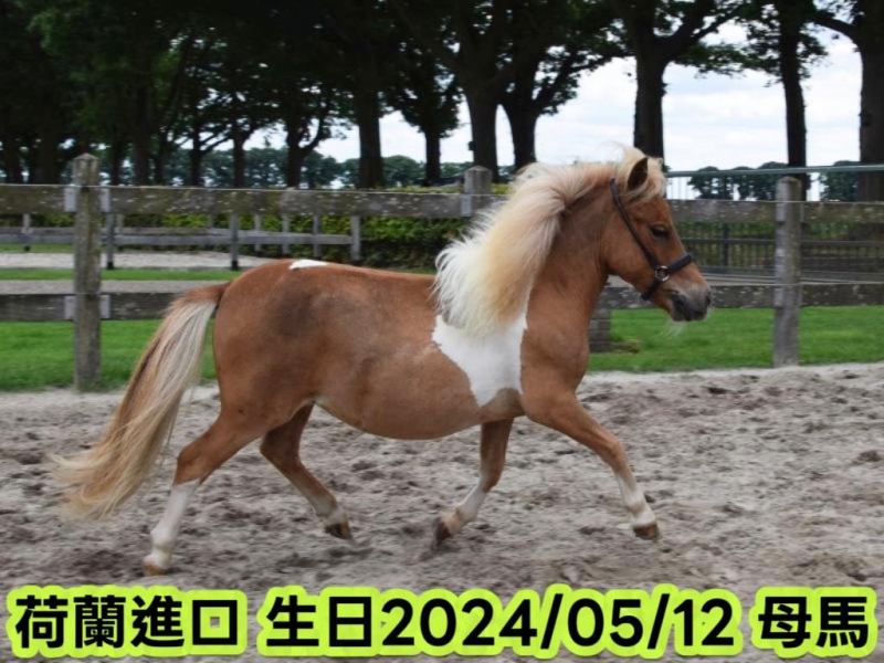 MEITU_20251018_160645891.jpg