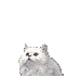 5[2].gif
