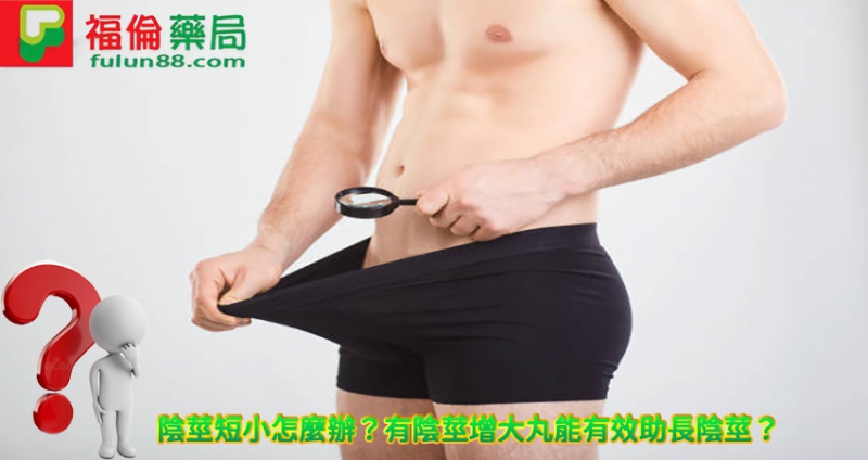 男性陰莖增大丸.jpg