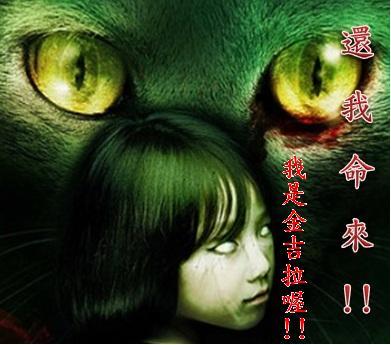 貓魂.JPG