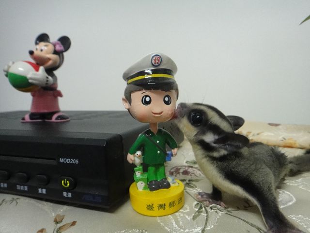 DSC00075.JPG