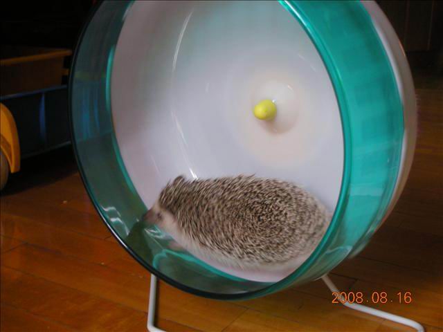 111.jpg