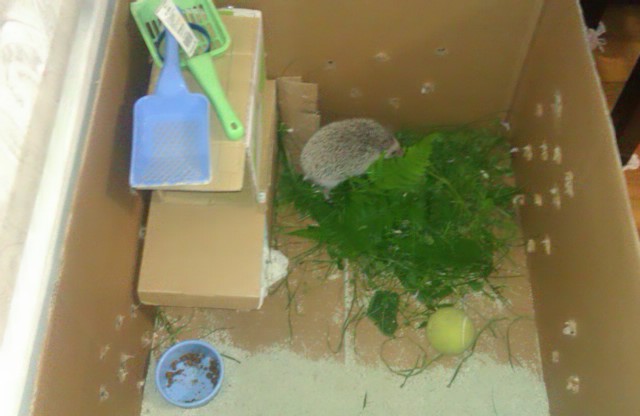 IMAG0086.jpg