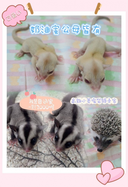 7月.jpg