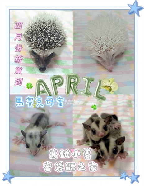 4月21日.jpg