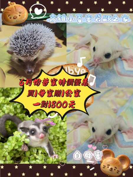 6月.jpg