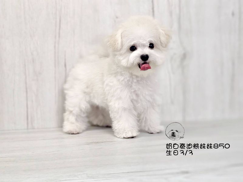0604905.jpg