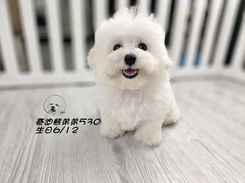 0826402.jpg