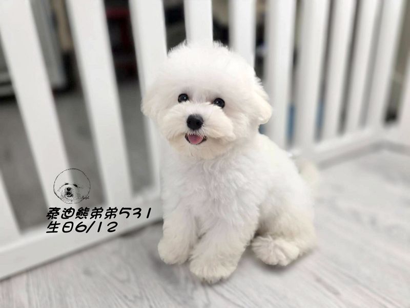 0903601.jpg