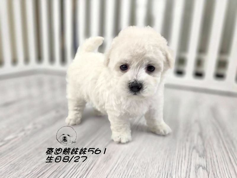 1006101.jpg