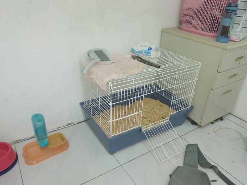 95.jpg