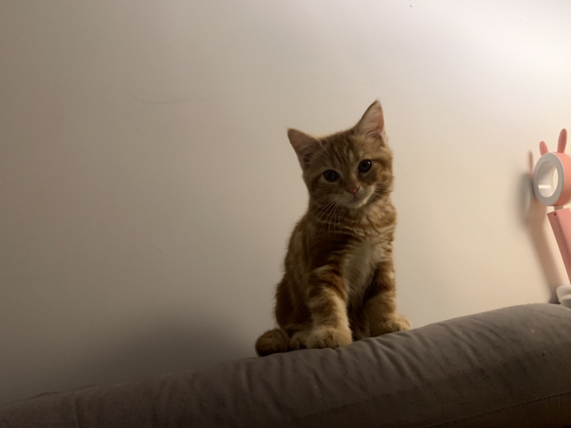 S__3285009.jpg