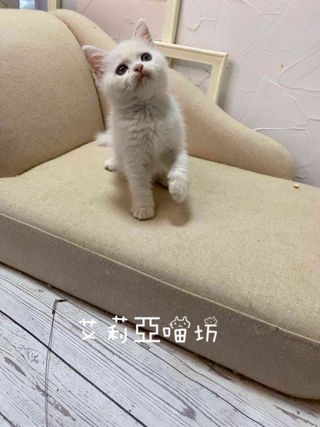 S__4857861.jpg