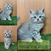 9DD30CD3-EC87-403A-8E34-A2C599BC81B0.jpg