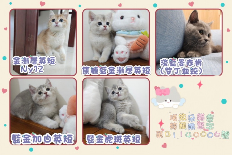 MEITU_20250720_225328241_copy_921x614.jpg