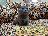 271578.jpg