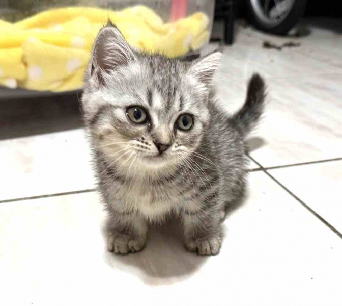 584775840_25561824796743226_4667568597776296063_n (2).jpg