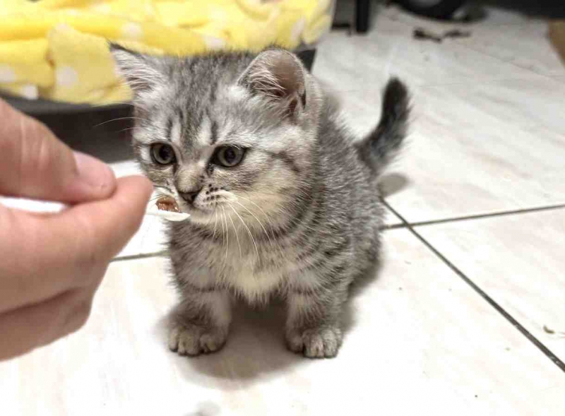 584712173_25561824800076559_8195764423339568473_n (2).jpg