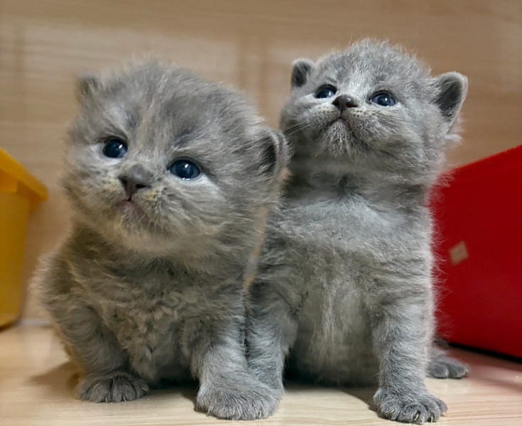 1767160872418 (1).jpg