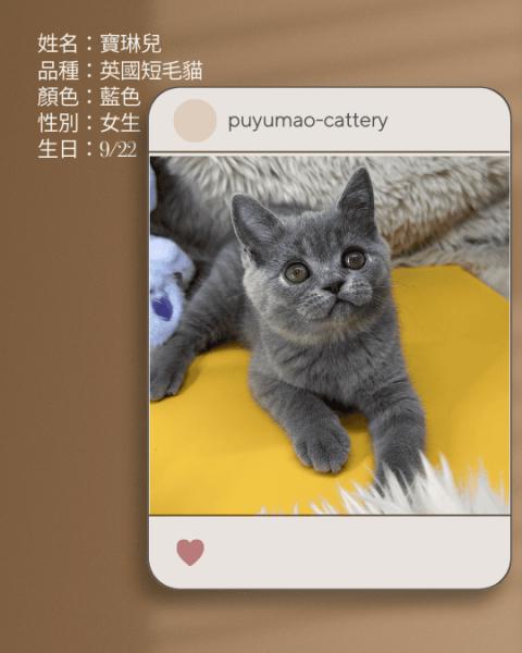 噗呦貓貓舍 (17).png