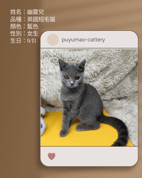 噗呦貓貓舍 (14).png