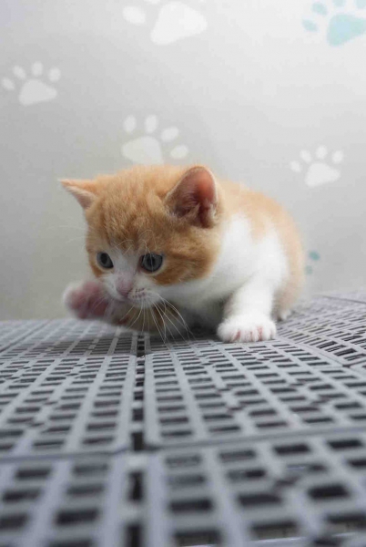 LINE_ALBUM_飛格_260504_3.jpg