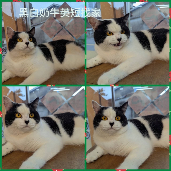 345524.jpg