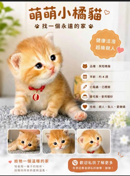 S__10993668.jpg