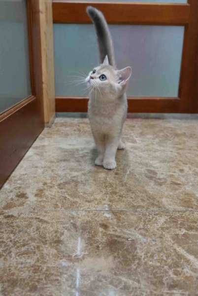LINE_ALBUM_飛格2_260625_1.jpg