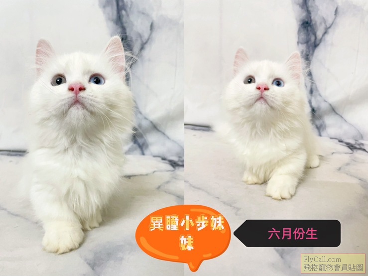 line_oa_chat_241229_132516_group_1.jpg
