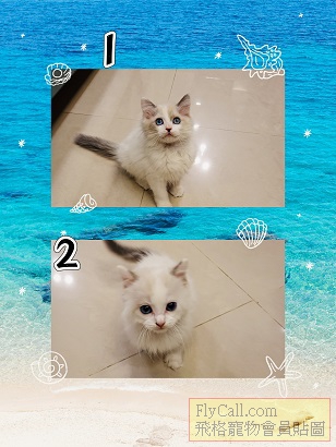 MEITU_20250209_235928792.jpg