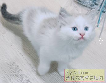 螢幕擷取畫面 2026-04-02 082744.png