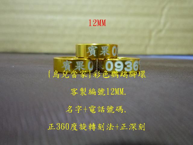 P1130417.JPG