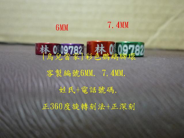 P1130420.JPG