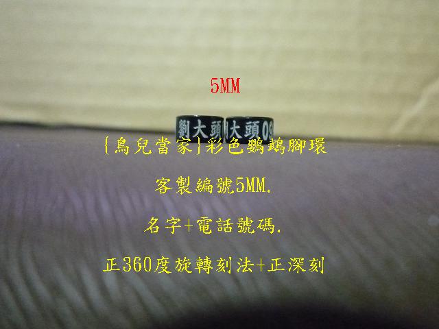 P1130579.JPG