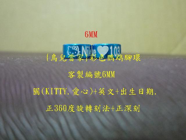 P1130655.JPG
