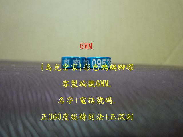 P1130660.JPG