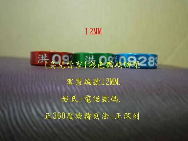P1130779.JPG