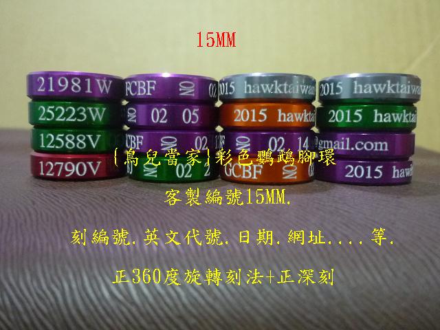 P1130803.JPG