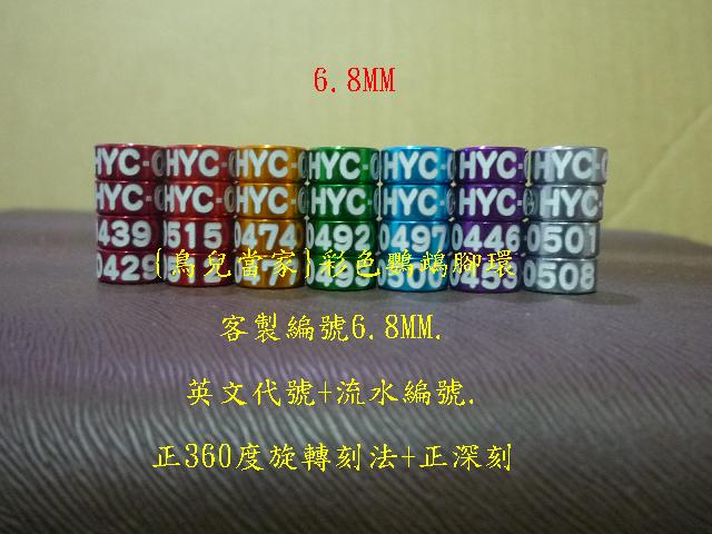 P1130852.JPG