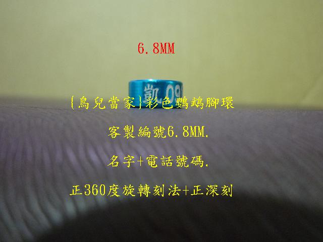 P1130896.JPG
