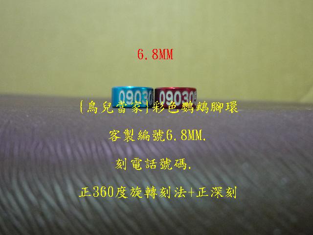 P1130966.JPG