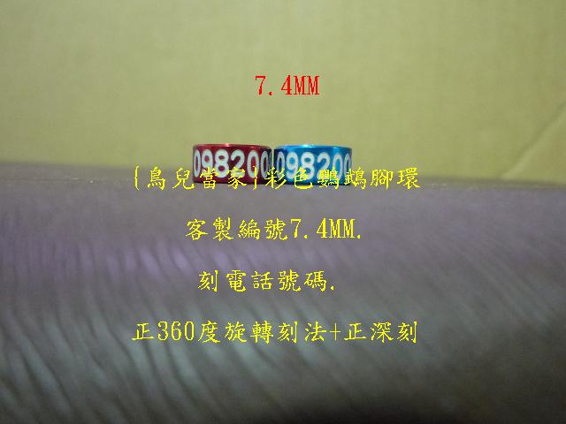 P1130973.JPG