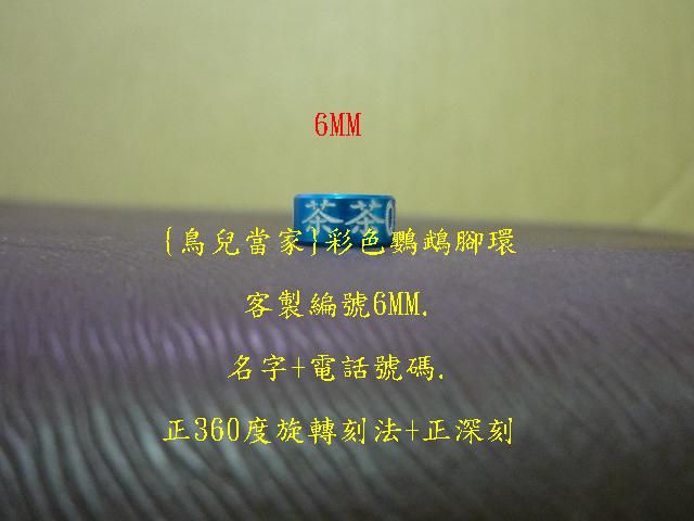 P1130982.JPG
