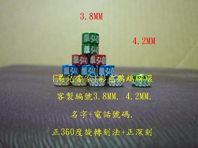 P1130988.JPG