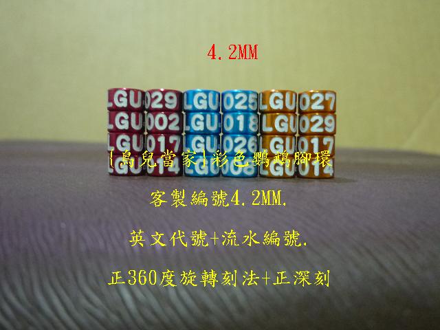 P1140013.JPG
