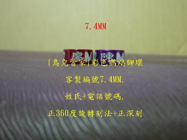 P1130995.JPG