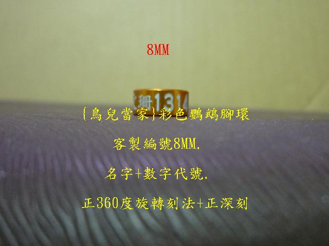 P1130997.JPG
